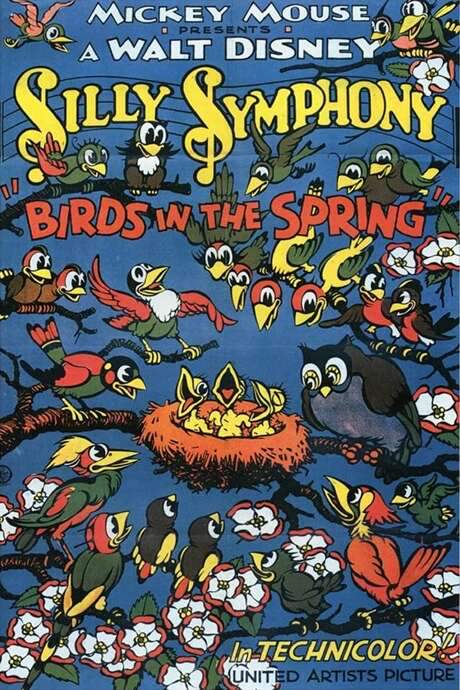 Birds in the Spring